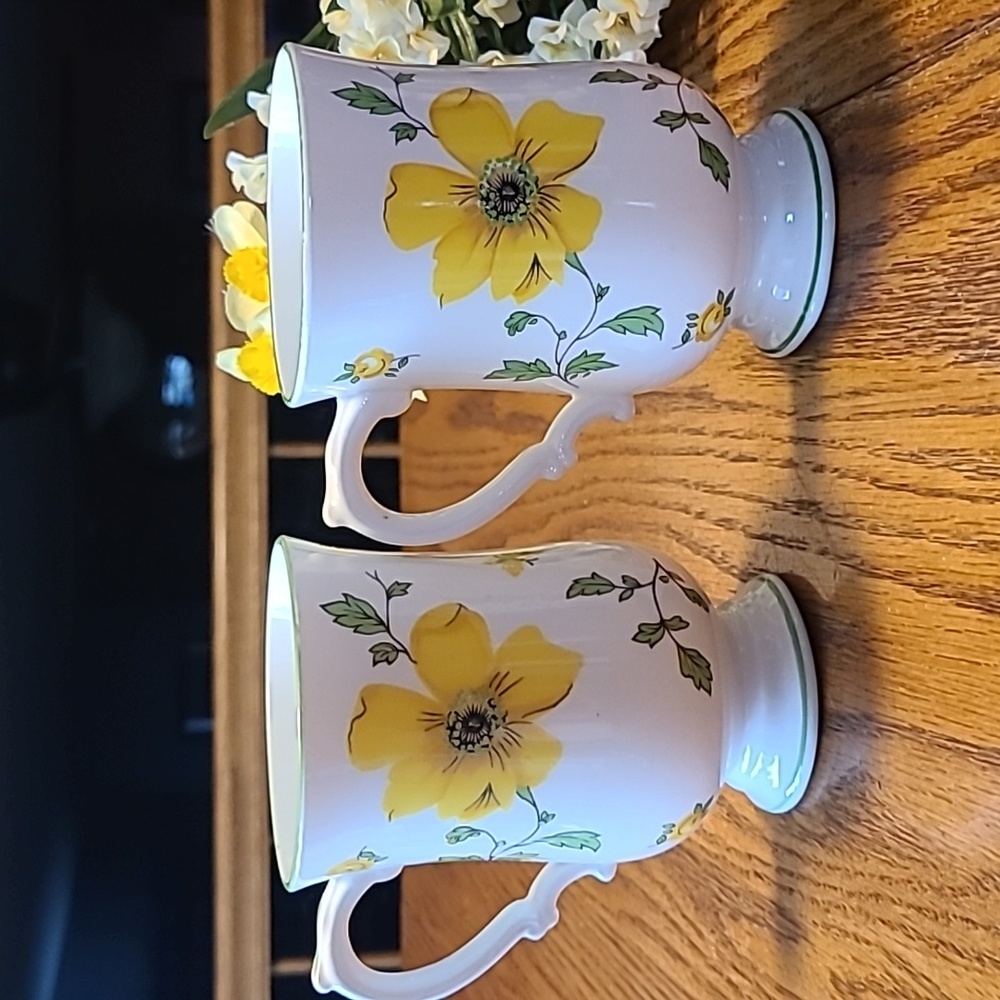 Royal Victoria Floral Fine China Tea Cups - Picture 8 of 10